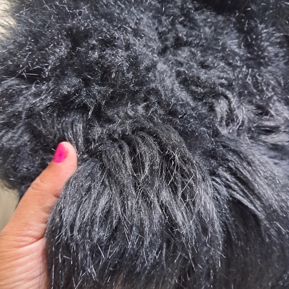 Black Stunning Shrug - Picture 3 of 6